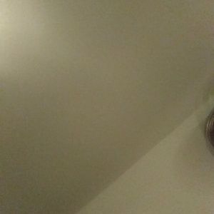 Meet your Posher, Frank